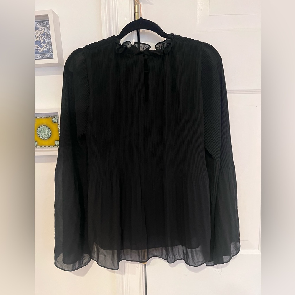 Naked Zebra Elegant Black Ruffled Top